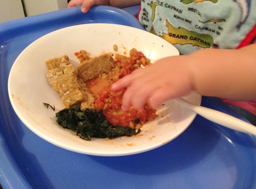 baby led weaning 9 months
