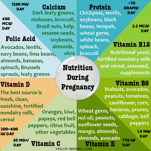 Periodized nutrition for pregnant women